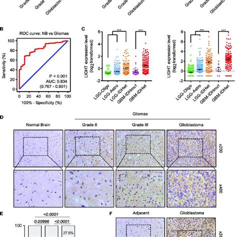 Increased LIGHT Expression In Higher WHO Grade Gliomas A LIGHT