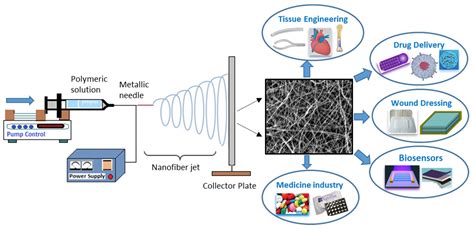 Polymers Free Full Text Recent Advances In Functional Polymer