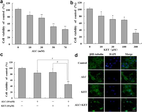 Cell Viability Assessed By Mtt Assay And Morphological Change Assessed