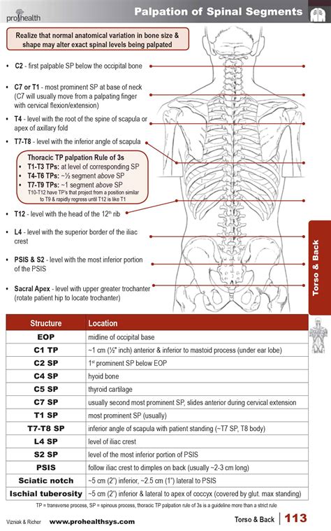 Sps And Tps T L Prohealthsys