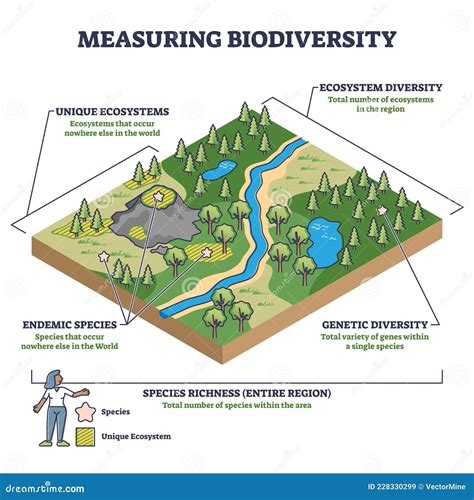 Measuring Biodiversity In Ecosystem Or Species At One Region Outline