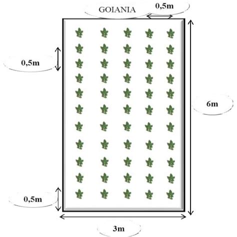 Intercropping Plants. | Download Scientific Diagram