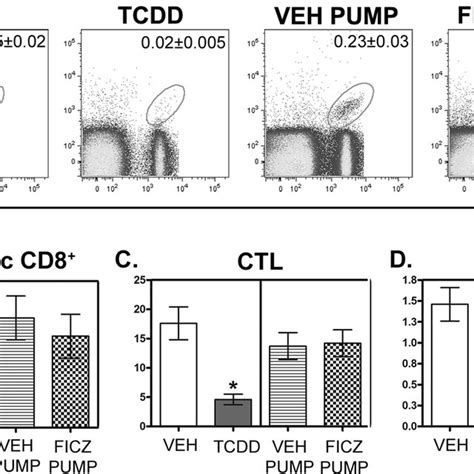 Ahr Activation By Ficz Does Not Impair The Cd T Cell Responses To