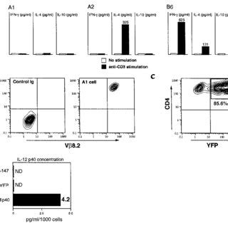 Characterization Of CII Specific CD4 T Cell Hybridomas A Cytokine