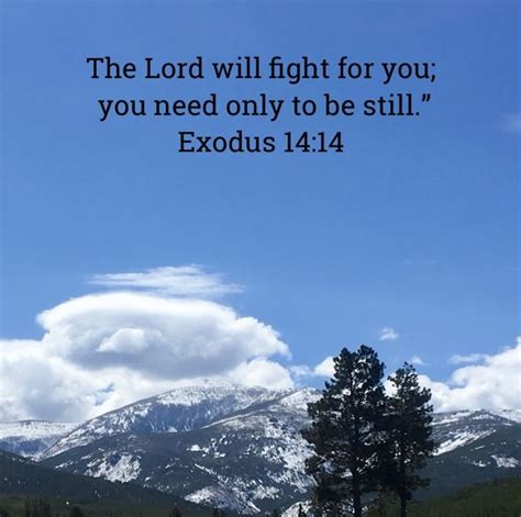 Pin By Leslie Jimmerson On Bible Verses 2 Bible Inspiration Bible