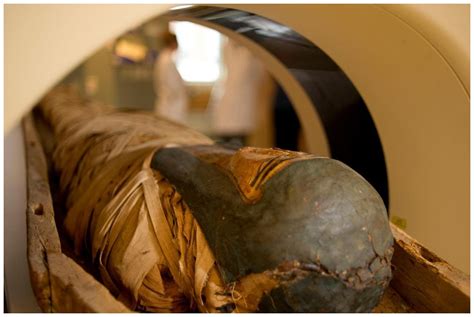 CT Scans Of Egyptian Mummy Help Vermont Solve Crimes Science