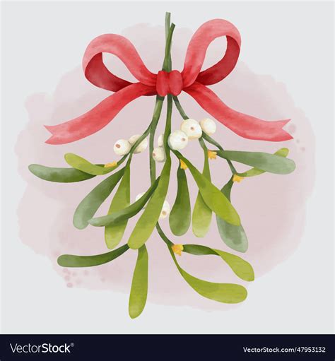 Watercolor Christmas Mistletoe Bouquet Royalty Free Vector