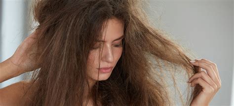 Как правильно ухаживать за волосами любого вида - советы, средства, правила