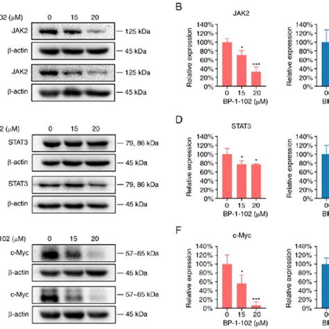 BP 1 102 Suppresses The JAK2 STAT3 C Myc Signaling Pathway A Western