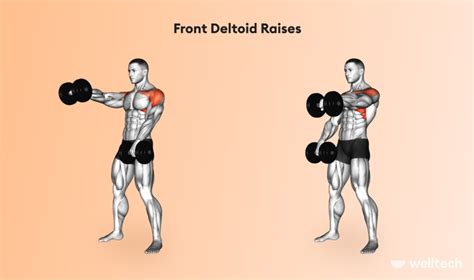 Chest And Shoulder Workout For Muscle Growth Dumbbells Only Welltech