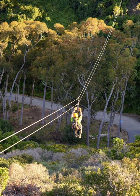 Zip Line Fact Sheet