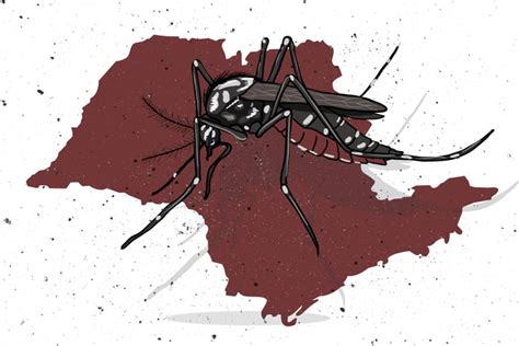 Estado De Sp Ultrapassa Marca De Mil Mortes Por Dengue Neste Ano