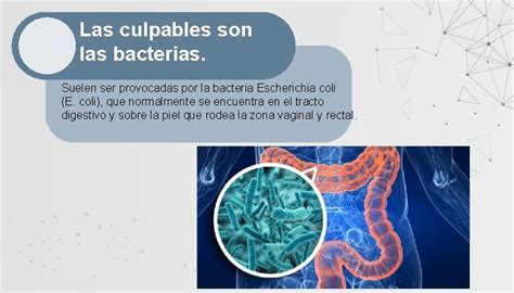 Infecciones Bacterianas Del Tracto Urinario Tema Grupo