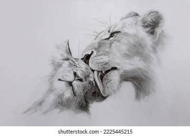 Lions Pencil Drawing On Paper Sketch Stock Illustration 2225445215 | Shutterstock