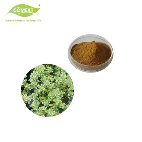 Comext Fssc 22000 China Manufacturer Powder Thyme Extract China