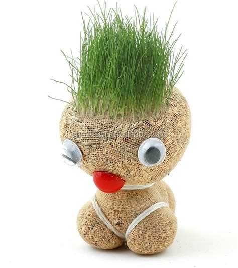 Diy Cute Potted Grass Kit Growing Real Grass And Personality Grass Doll Mini Plant Doll Magic