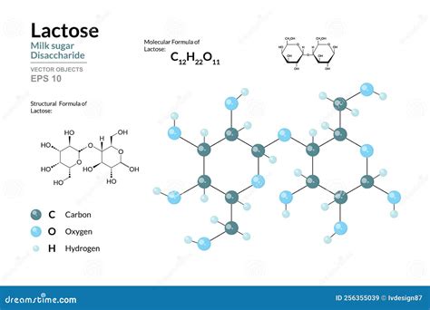 Lactose Milk Sugar Disaccharide Structural Chemical Formula And