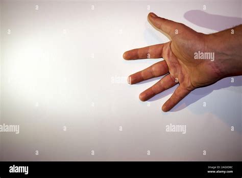 Foto de una mano abierta sobre fondo blanco Fotografía de stock Alamy