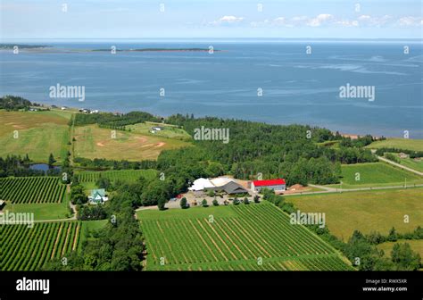 aerial, Jost Vineyards, Malagash, Nova Scotia Stock Photo - Alamy