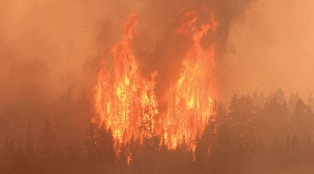 Fire Yellowstone National Park U S National Park Service