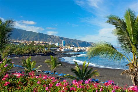 Diez Cosas Que Hacer En Puerto De La Cruz En Un Día ¿cuáles Son Los