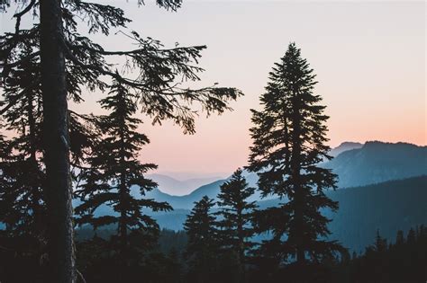 the sun is shining — Sunset in Paradise - Mount Rainier National Park