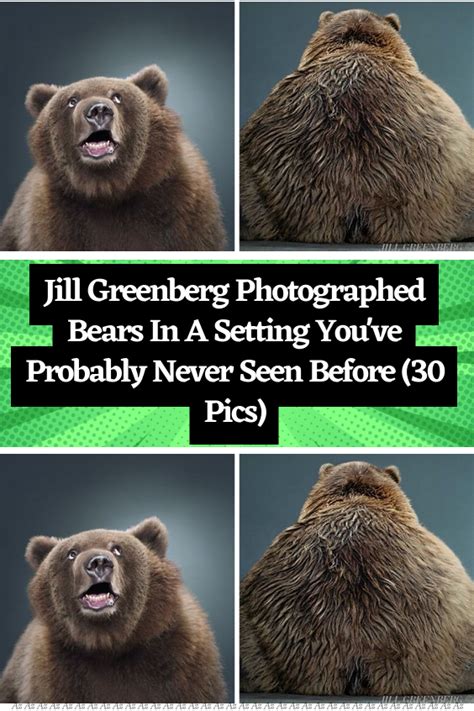 Jill Greenberg Photographed Bears In A Setting Youve Probably Never