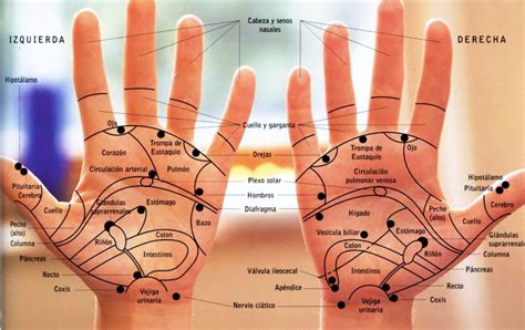 Reflexología Manos Masajes Orientales Xiaoying Masajes Madrid