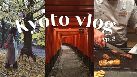 Kyoto Vlog Autumn In Japan Nara Trip Kobe Beef Teppanyaki