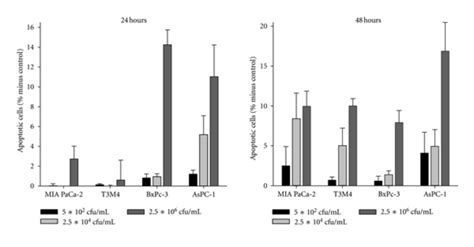 Apoptosis Assay A Increased Caspase 37 Activity In Tumor Cells