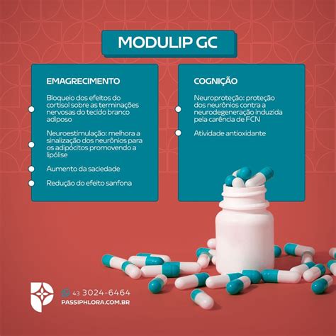 A Passiphlora Apresenta O Modulip Gc Londrinatur Portal De Londrina