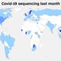 Most Omicron Cases In US Have Been Mild But Most Were Vaccinated CDC