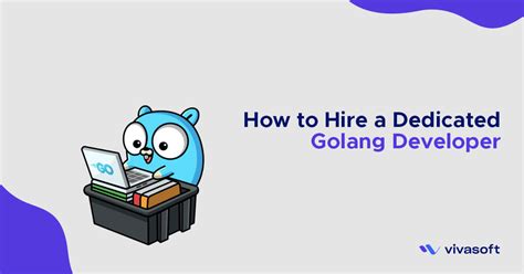 How To Hire A Dedicated Golang Developer Guide Vivasoft Ltd