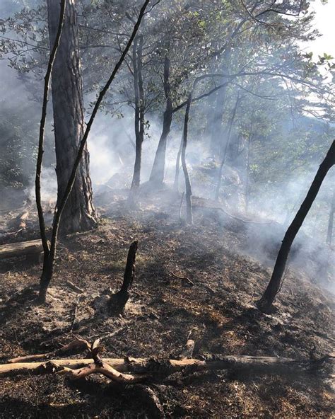 L Schhelikopter Im Einsatz Waldbrand Auf Dem Roggen Argoviatoday