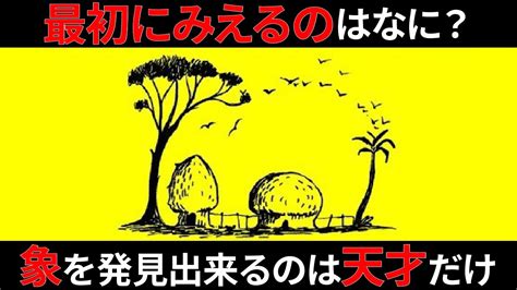 【ゆっくり解説】象が見えたら天才！錯覚診断クイズ！ Youtube