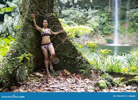 Reizvolles M Dchen Mit Bikini Im Wald Stockfoto Bild Von Person