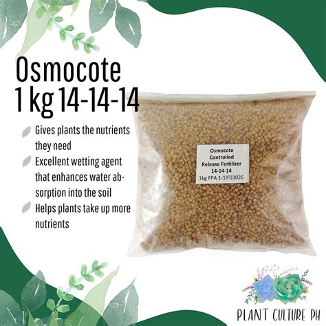 Aicl Osmocote Controlled Release Fertilizer Kilo By Plant