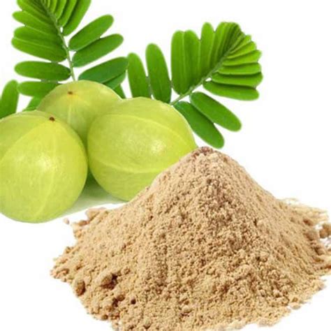 Amla Powder Dried Organic 100 Pure And Natural Gooseberry Best Etsy