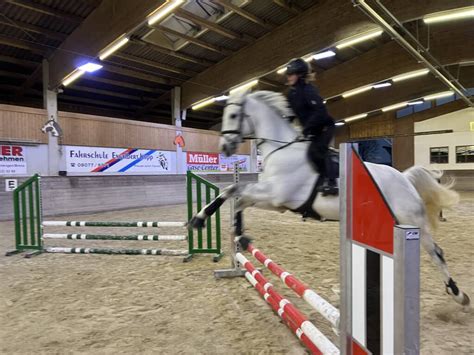 Springreiten Reitanlage Brunnenfeld