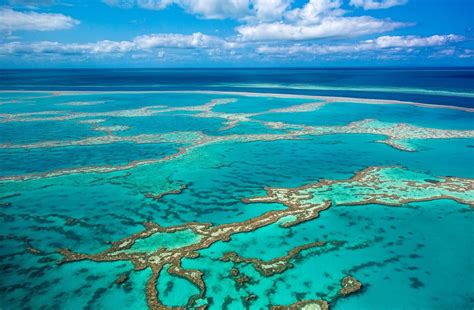 Mar de Coral: características, clima, biodiversidad e importancia ...