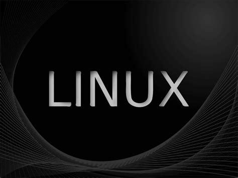 Les 5 Meilleures Distributions Linux Pour Le Jeu En 2022