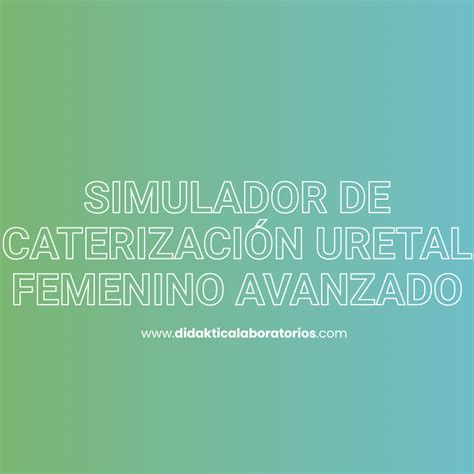 Simulador De Caterizaci N Uretal Femenino Avanzado Didaktica Laboratorios