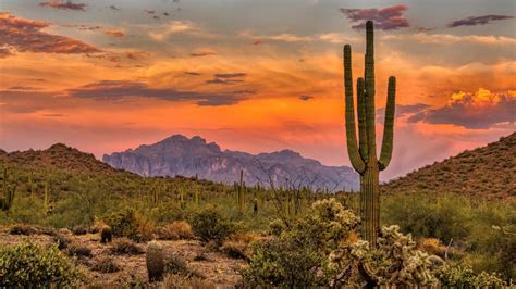 Phoenix Exploring The Desert City – Best Things to Do