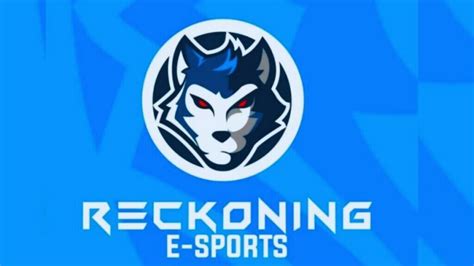 Reckoning Esports Joins Skyesports For Cs Go League