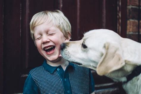 Adi S A Los Perros Los Cient Ficos Alertan De Una Evoluci N Y Dicen