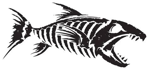 Fish Skeleton Vector Image By Slipfloat Vector Stock