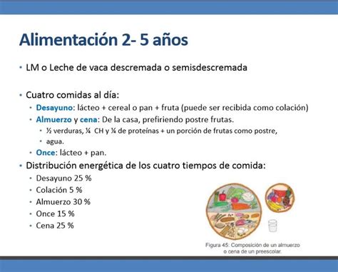 La Importancia De La Nutrici N En Todos Los Seres Humanos Es