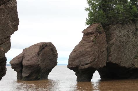 Le Parc Des Rochers Hopewell Rocks Hopewell Rocks Hopewell Natural