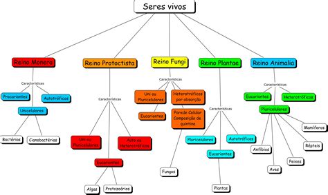 Mapa Mental Reinos Dos Seres Vivos Enem Sexiz Pix