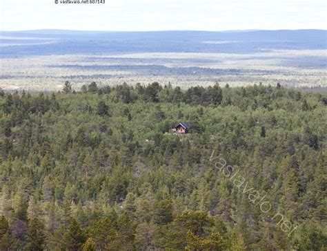 Kuva K Mpp Lapissa Luonnontilainen Luonnonmukainen Mets